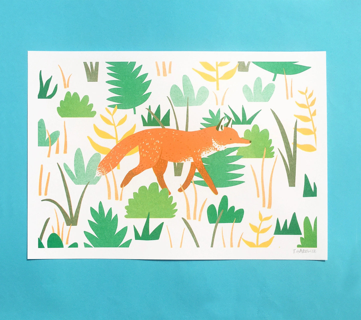 Fox - A4 Print